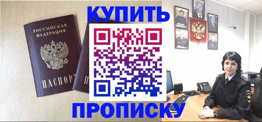 прописка 2025 в Братске
